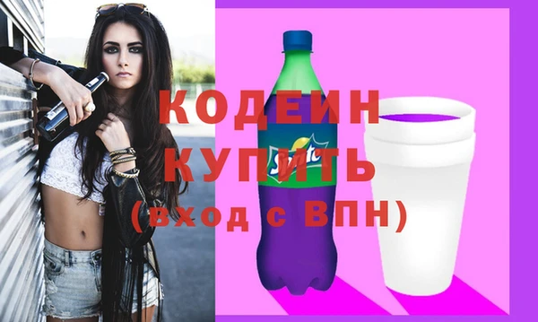 молекула духа Богородицк