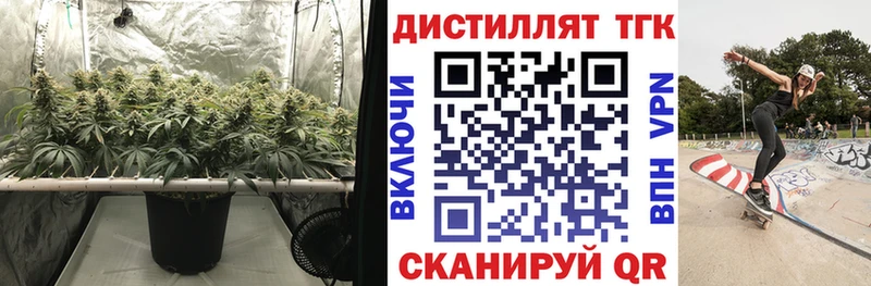 ТГК гашишное масло Купить закладки Вязники